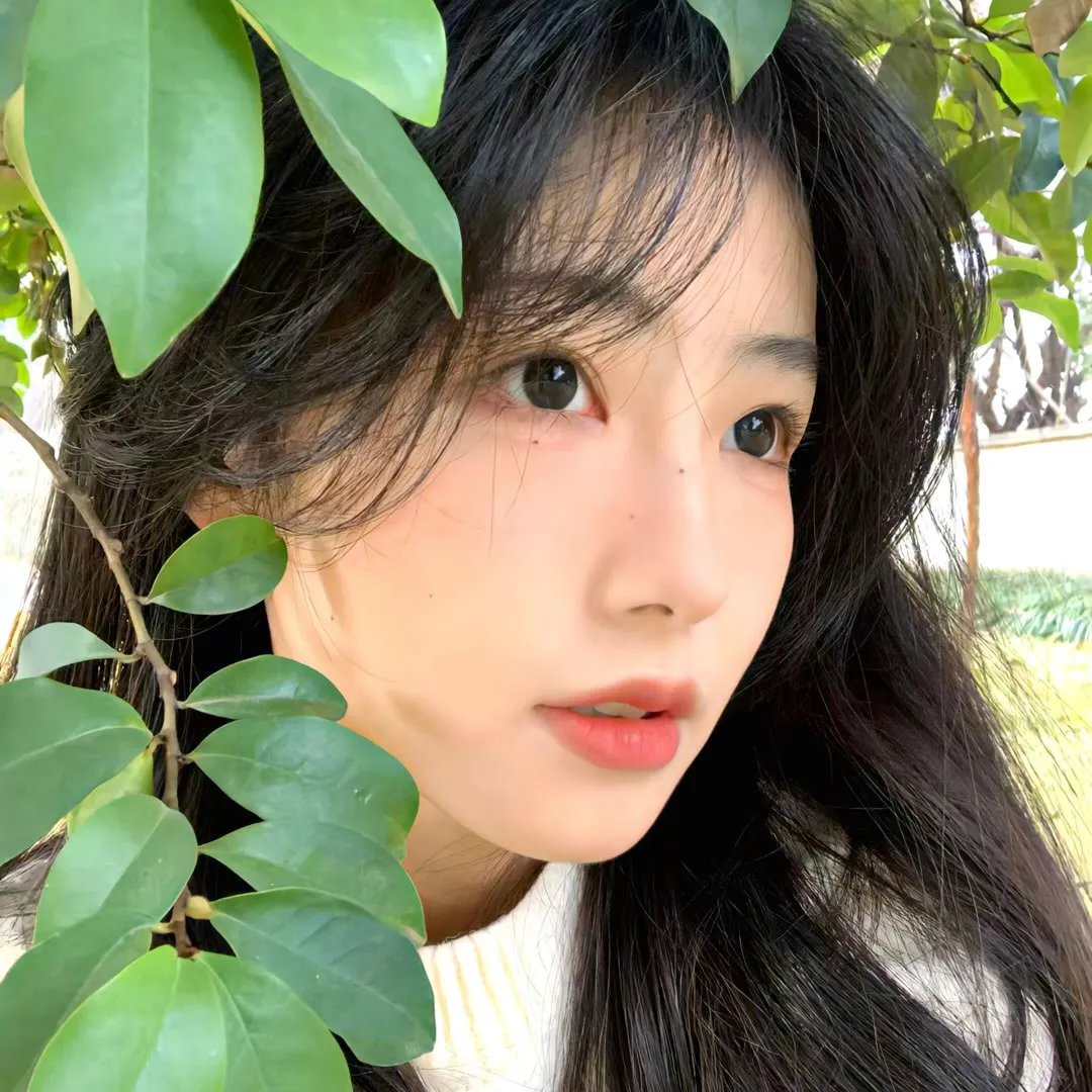 龙猫